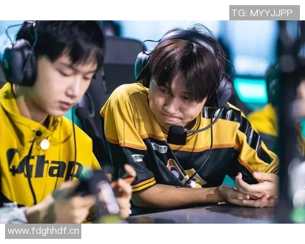 王者荣耀评论分析JDG战队运营策略的成功与不足之处